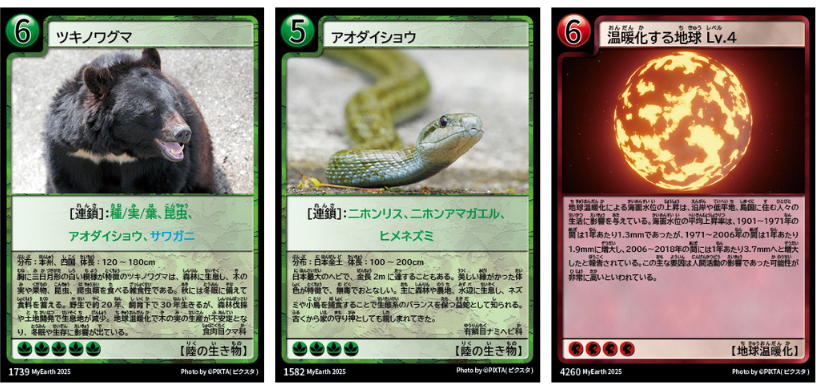 対決カード